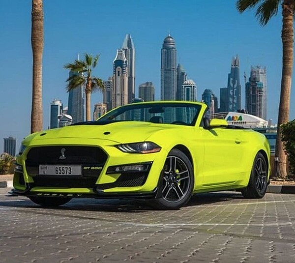 Mustang GT500 Shelby